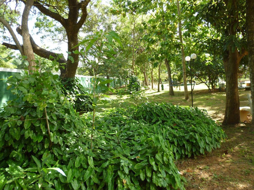 Saji-Sami Hotel Anuradhapura Exterior photo
